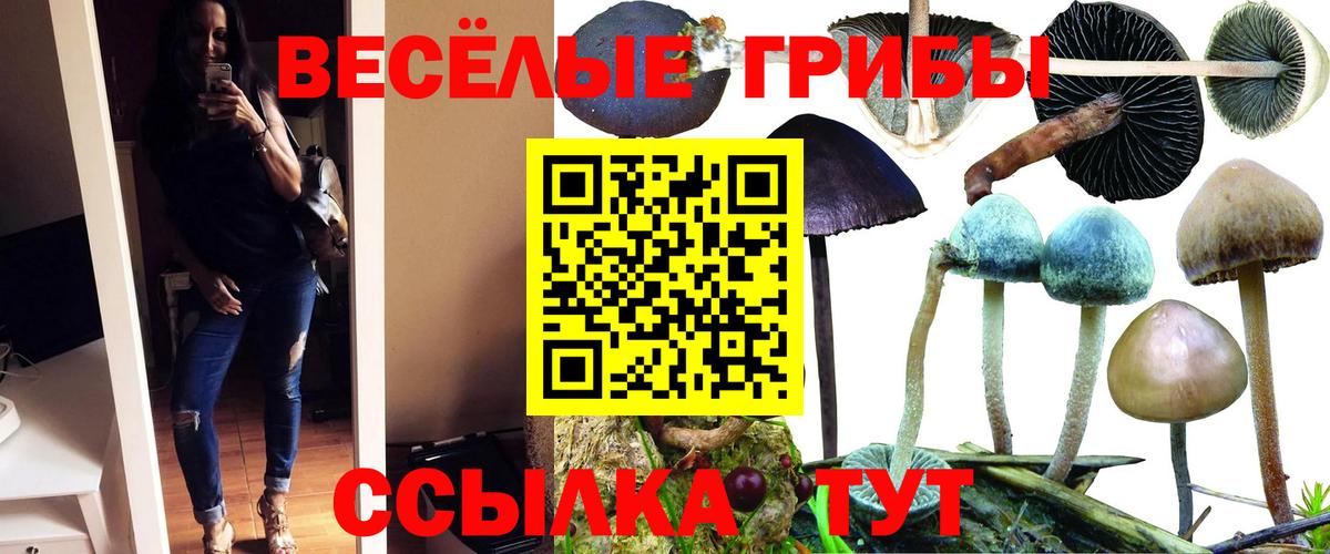 Темрюк  Галлюциногенные грибы мицелий  Вход с VPN 