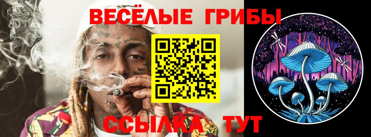 Галлюциногенные грибы Magic Shrooms Темрюк