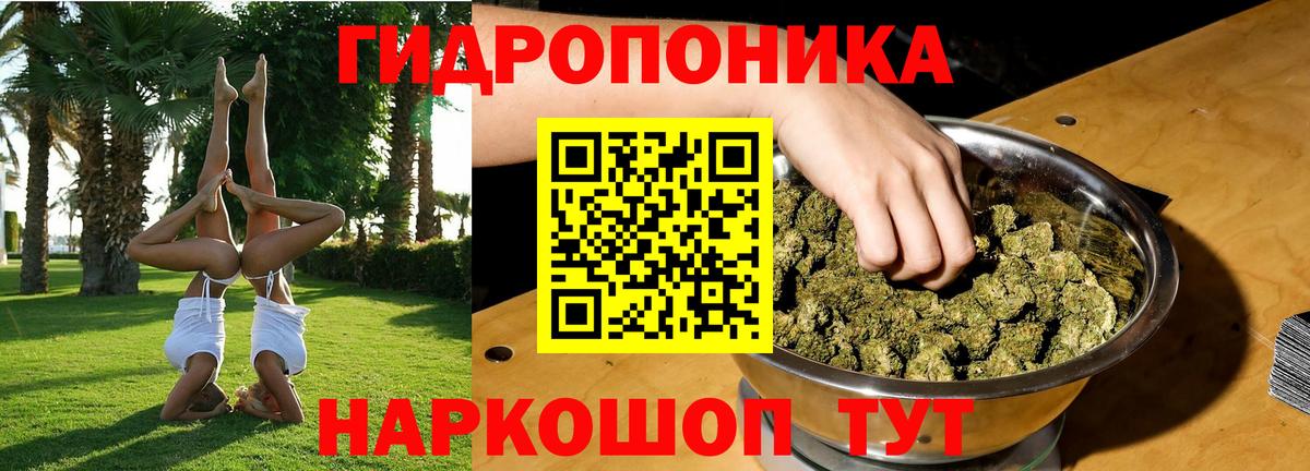 Марихуана White Widow  Бошки Шишки планчик  Вход с VPN  МАРИХУАНА индика  Темрюк 